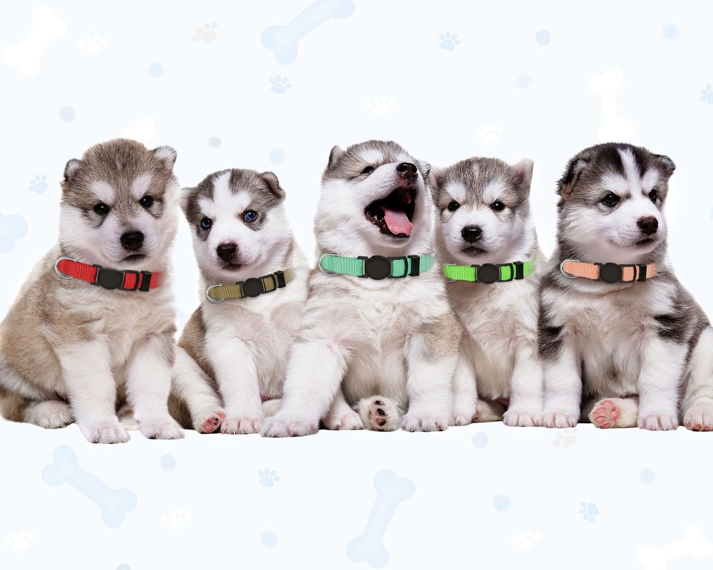 20 Pack Puppy ID Collar Identification Adjustable Breakaway Whelping Collars...