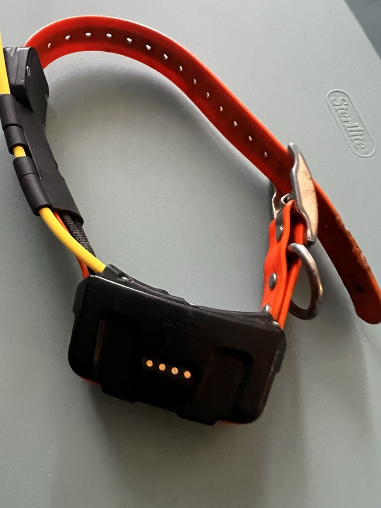 Garmin DC50 GPS Dog Tracking Collar US Version