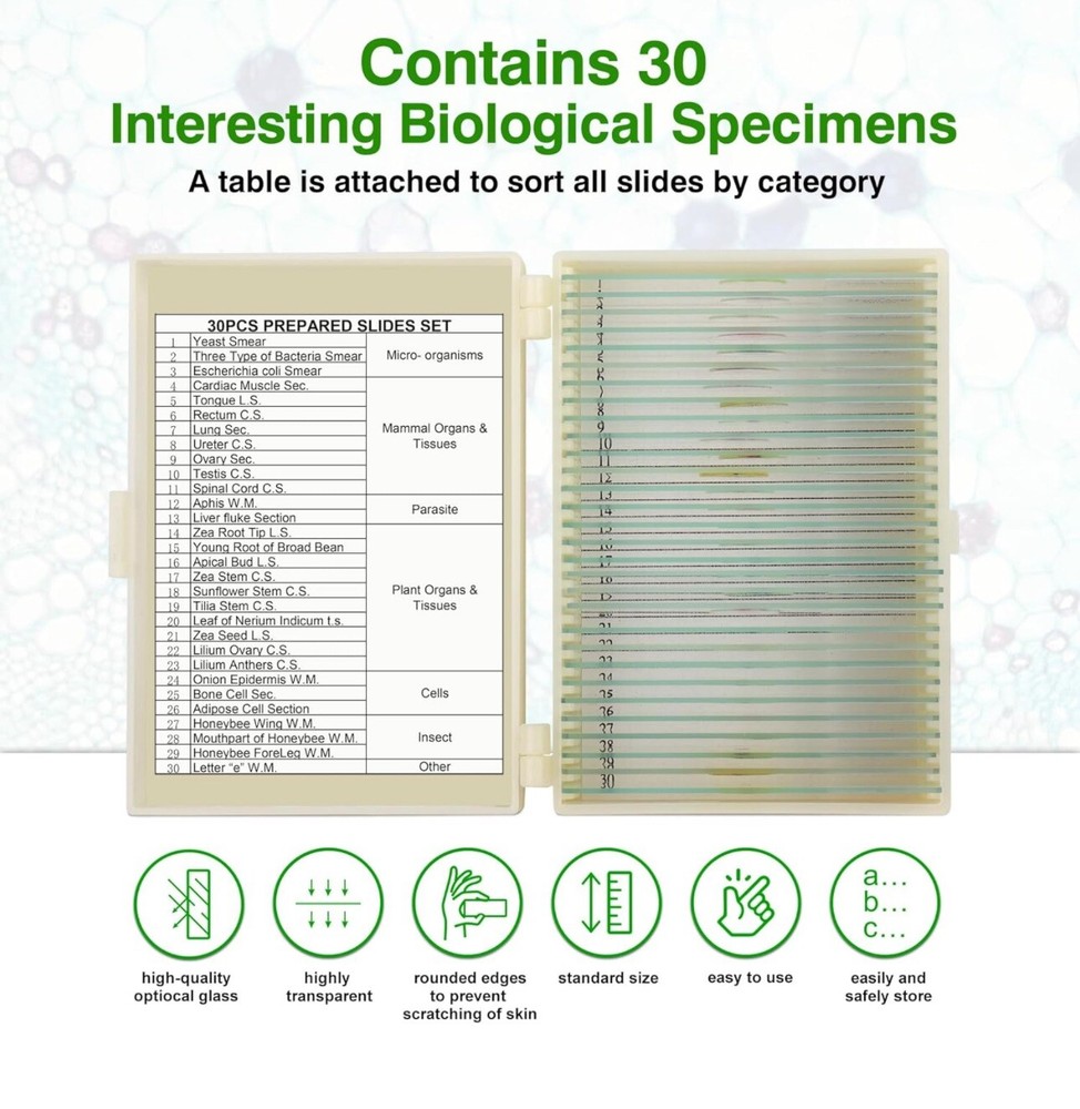 30 Microscope Slides with Specimens for Kids, Prepared Microscope Slides for ...