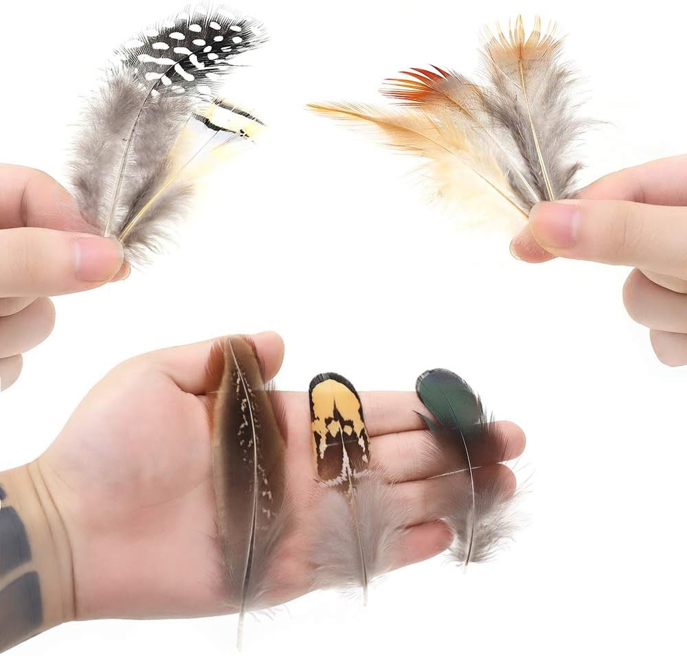 180pcs 9 Styled Natural Feathers Assorted Mixed for 9Styles/180Pcs