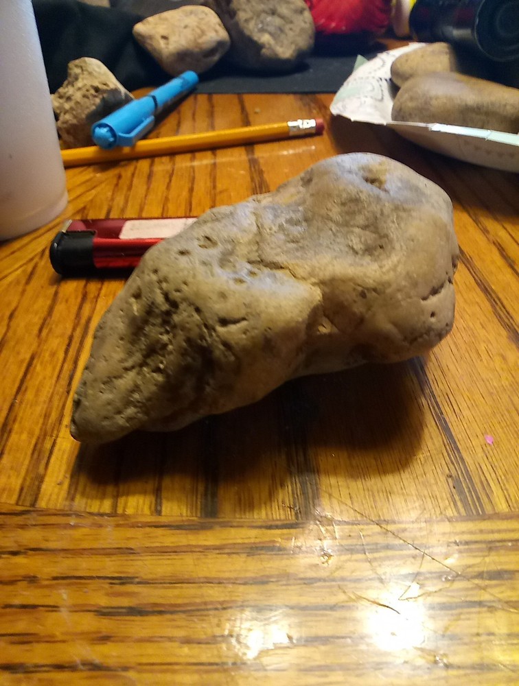 Fossils