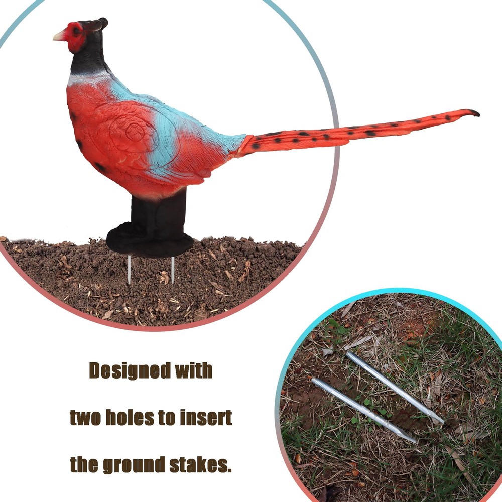 3D Pheasant Archery Target with TwoSided Shooting Range for Bow Training