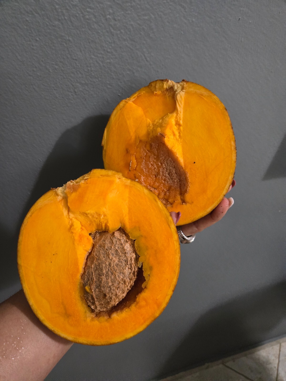 Mamey Tree (Pouteria sapota) Tropic / 1.5 @ 2 Mammea Americana / Free shippin
