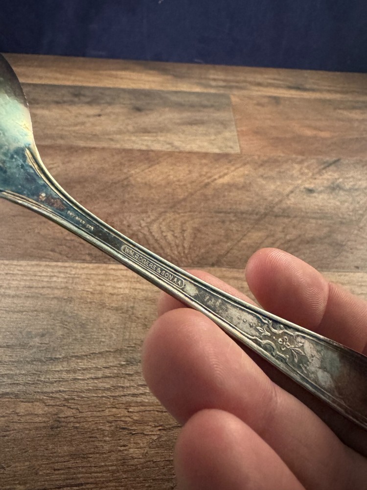 Wm Rogers & Son Soup Spoon Silverplated Lady Doris/Princess Pattern