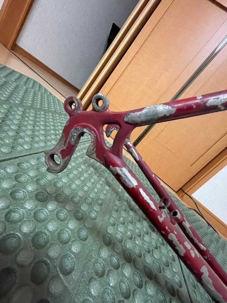 Hirame Randonneur Bicycle Frame