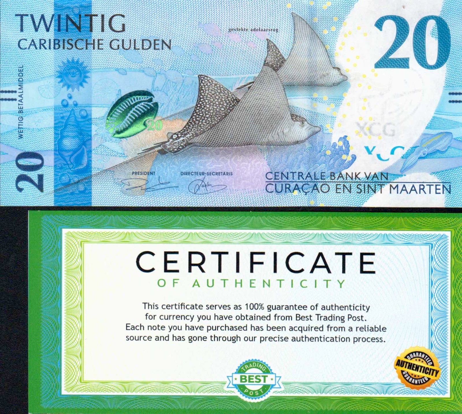 Curacao 20 Caribbean Guilder - 2025 QTY 1 note USA SELLER NEW NOTE COA