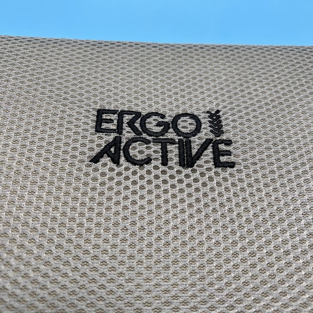 Mount-It! Ergo Active Lumbar Memory Foam Support Pillow MI-1013