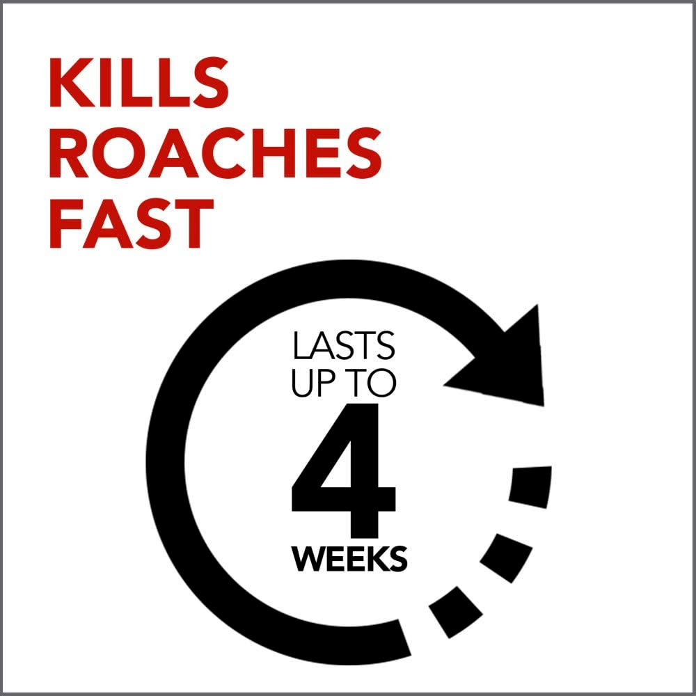 3 Cans Raid Ant & Roach Killer Spray Keeps Killing for Weeks Lavender Scent