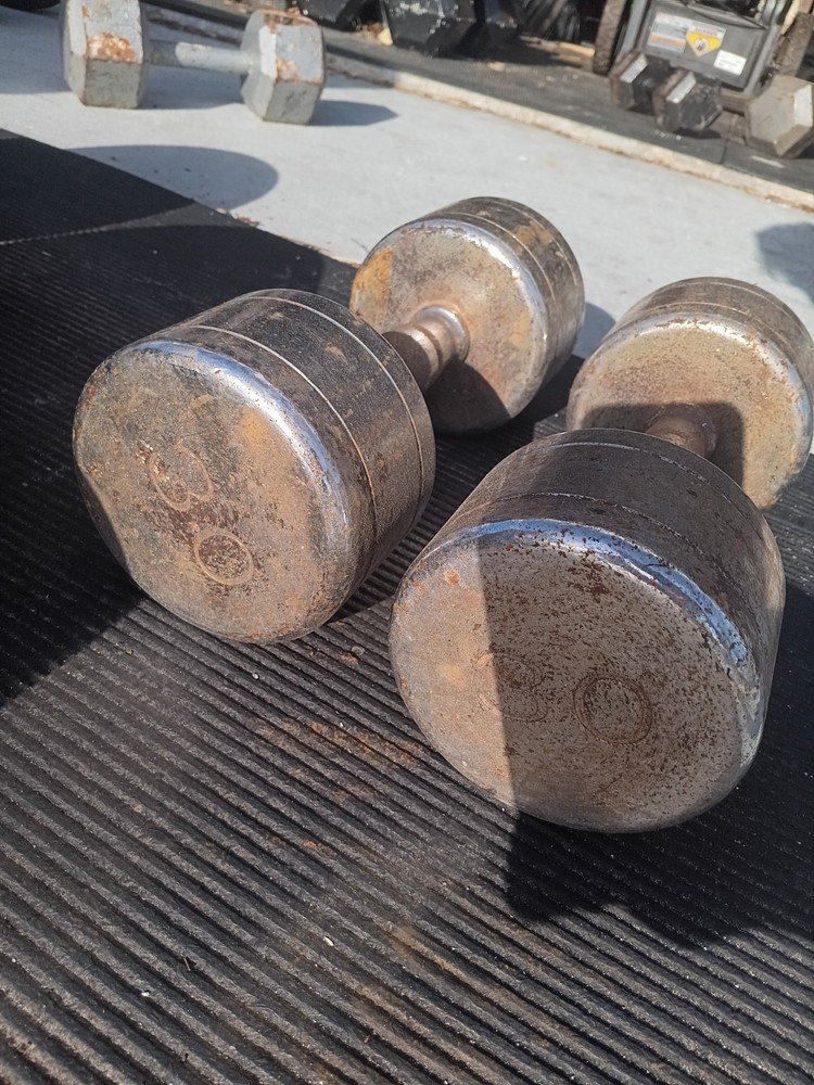 Chrome Dumbbell Set 30 Pounds