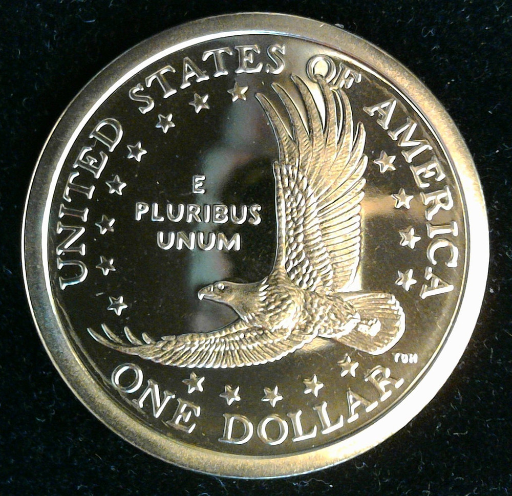 2001s Sacagawea dollar...proof, cameo