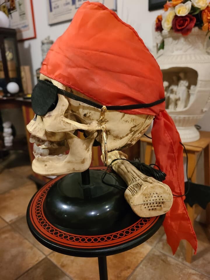 Animated Electronic Talking Skull Bizarre Magic Mentalism Tricks
