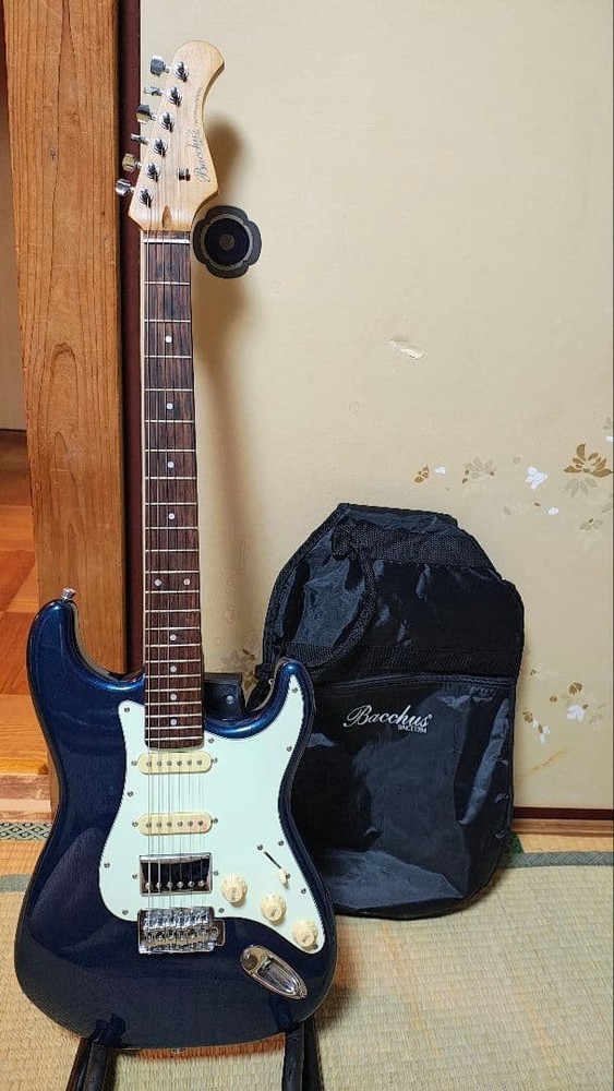 Bacchus BST-2-RSM/R DLPB with case