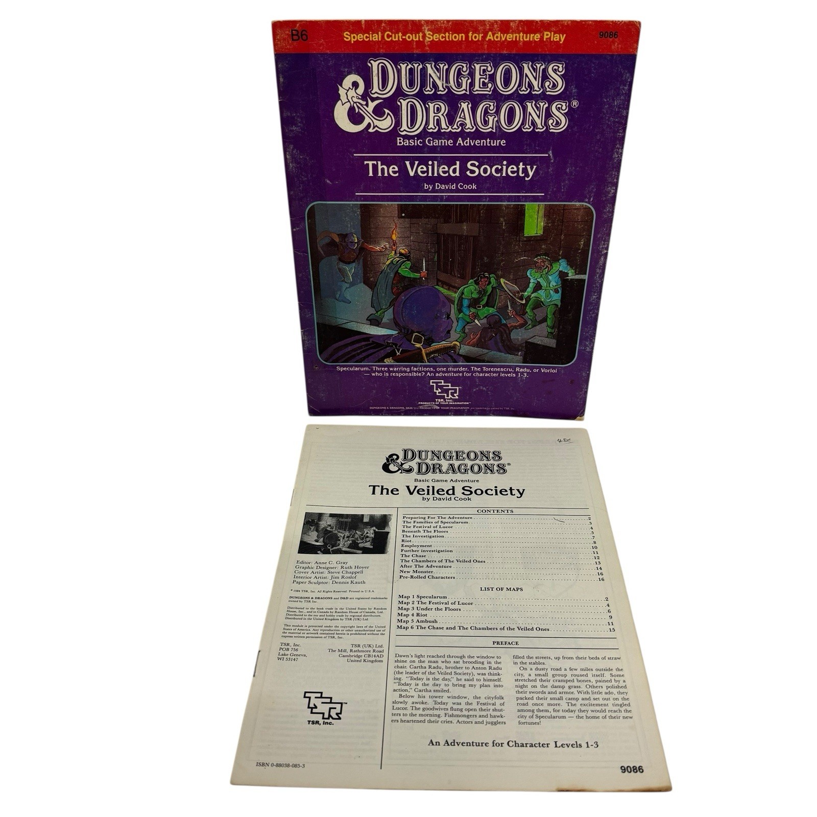 Dungeons & Dragons 1984 B6 The Veiled Society by David Cook TSR 9086