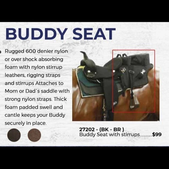 Abetta Buddy Seat Ride Behind