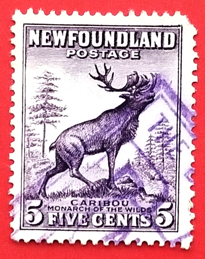 Canada Newfoundland #191 Die II Perkins Bacon Printings - Caribou Used