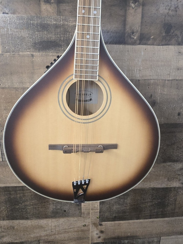 Mcneela ElectroMandolin Clean