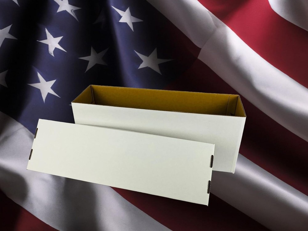 Comic Book Storage Box - 5 Count Long Comic Book Boxes with White Corrugated ...