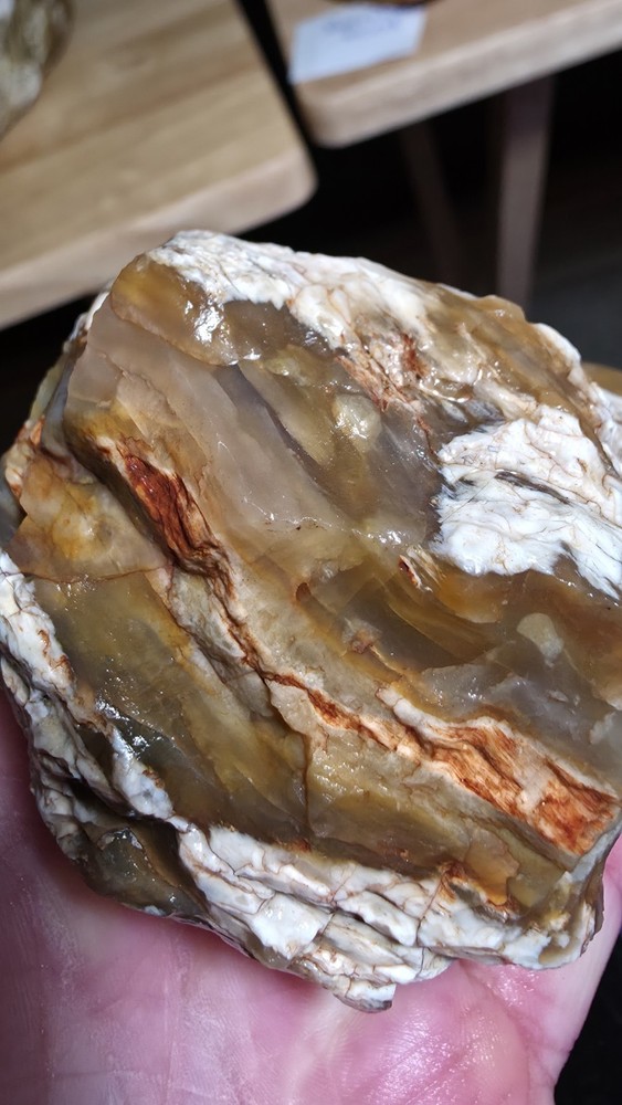 agatized petrified wood 3pc. Lot