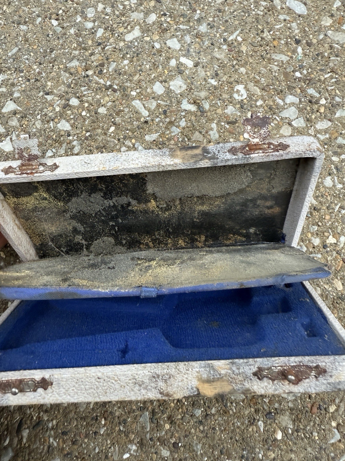 Vintage Riester Schiotz Tonometer for Optometry, in Case