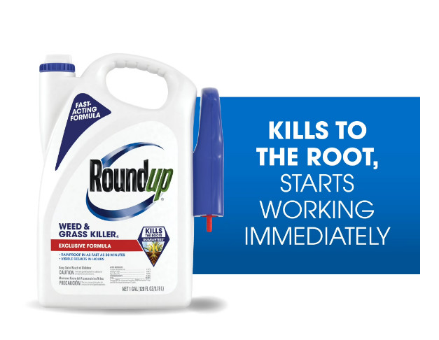 Roundup Weed and Grass Killer4 with Trigger Sprayer, 1 gal.