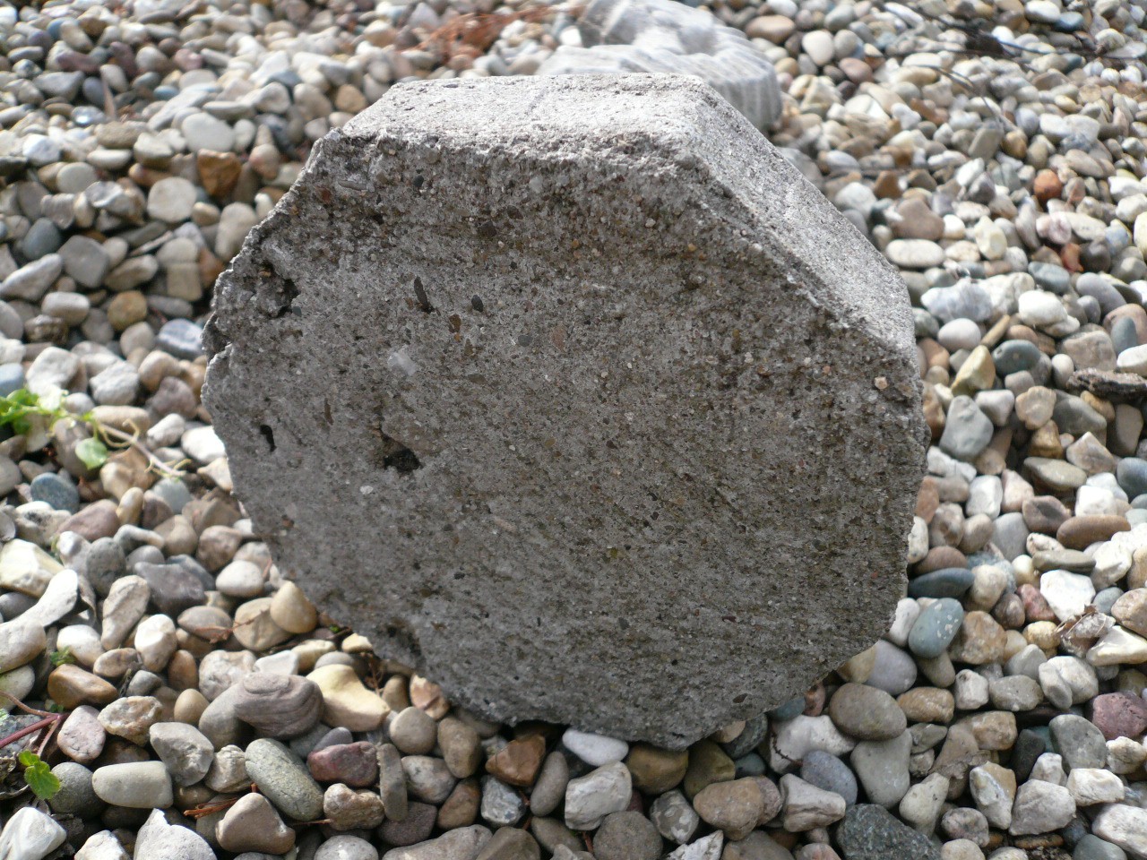 Topper Vintage Cement Concrete Garden Seahorse Statue 11-Inch