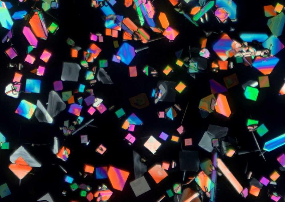 Microscope slide for polarized light POTASSIUM BITARTRATE