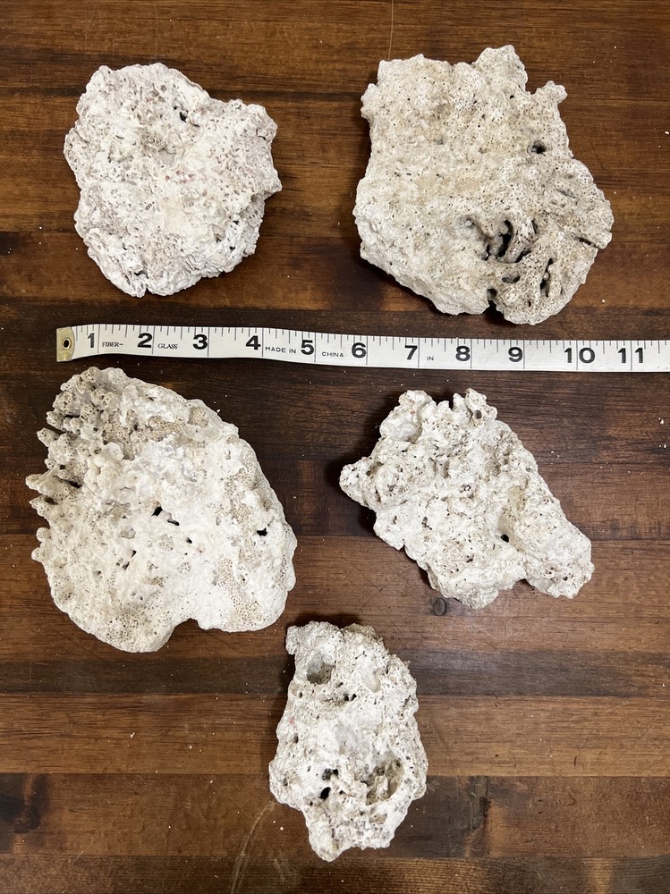 Dry Rock 5 Small Pieces 2lbs 10 Oz