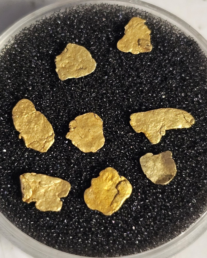 .384g Alaskan True Leaf Gold Nugget Batch
