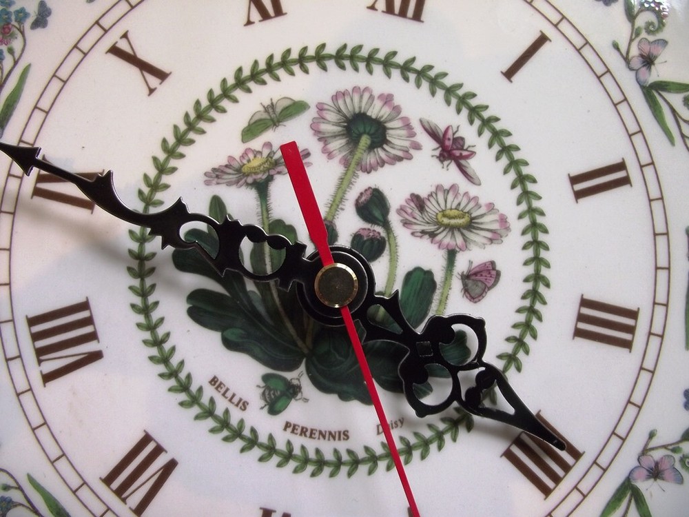 Portmeirion Botanic Garden Wallclock