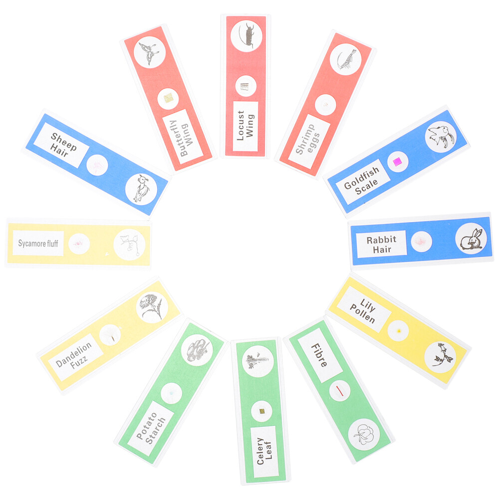 36pcs Microscope Sample Slide Plant Sample Specimen Kid Science Toy