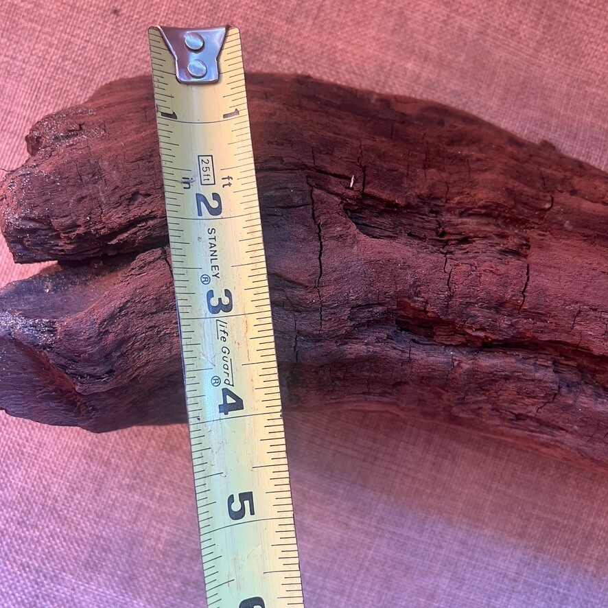 18" x 5" Redwood Driftwood Organic Craft Aquarium Rustic Boho Natural Wood