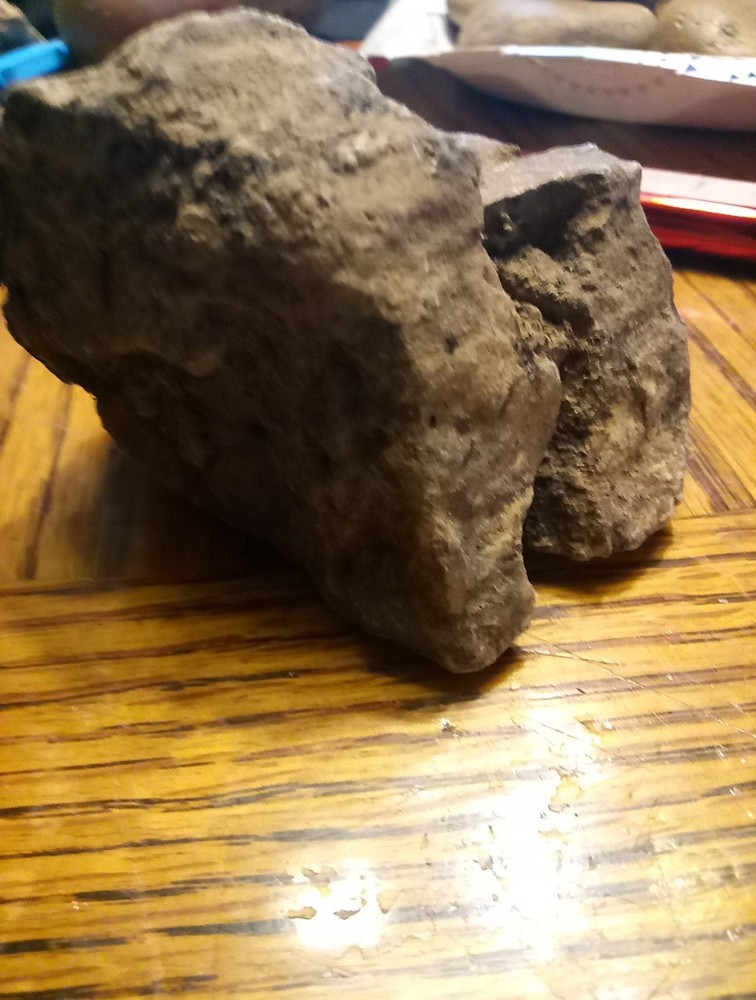 Fossils