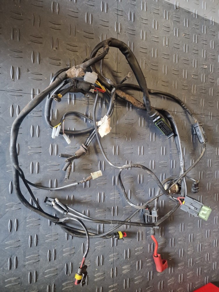 Ducati 600 SS Wiring Loom