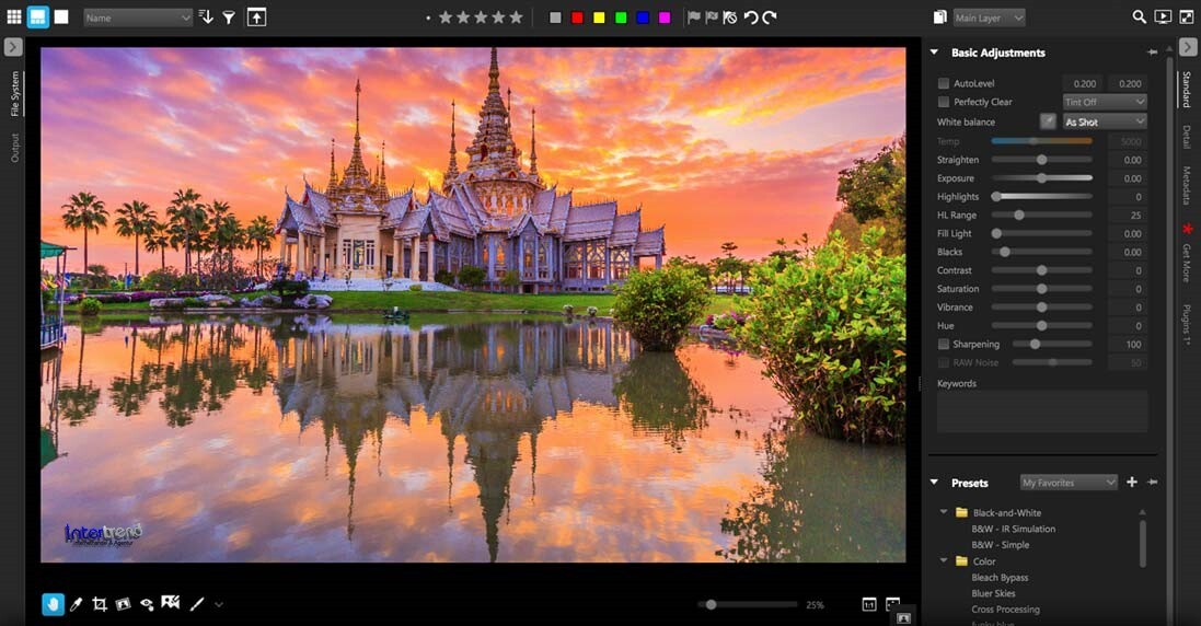 CorelDRAW Graphics Suite 2019 Full Version Windows PKC Permanent License Original Packaging NEW