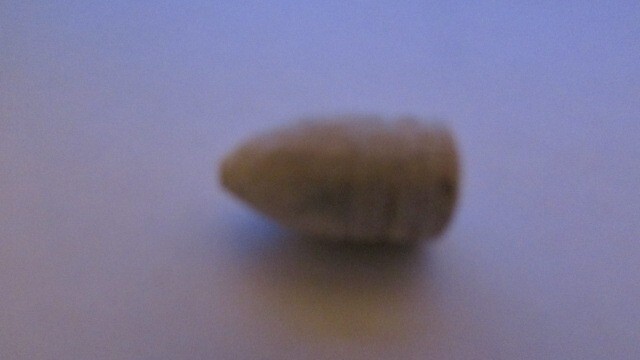 Gettysburg Dug Bullet