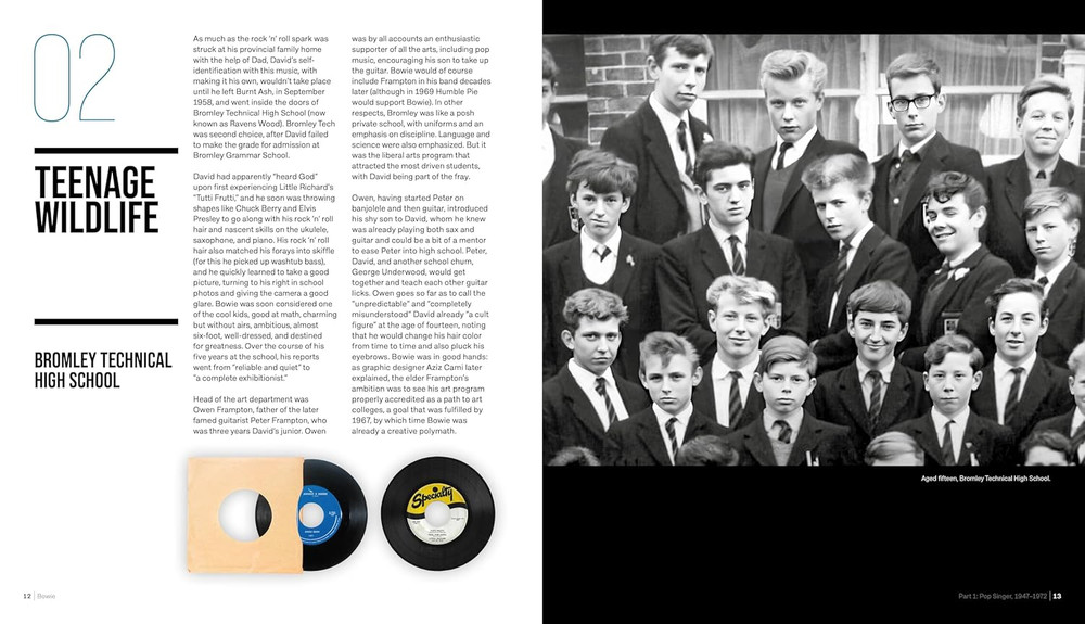 David Bowie: Rock 'N' Roll Chameleon