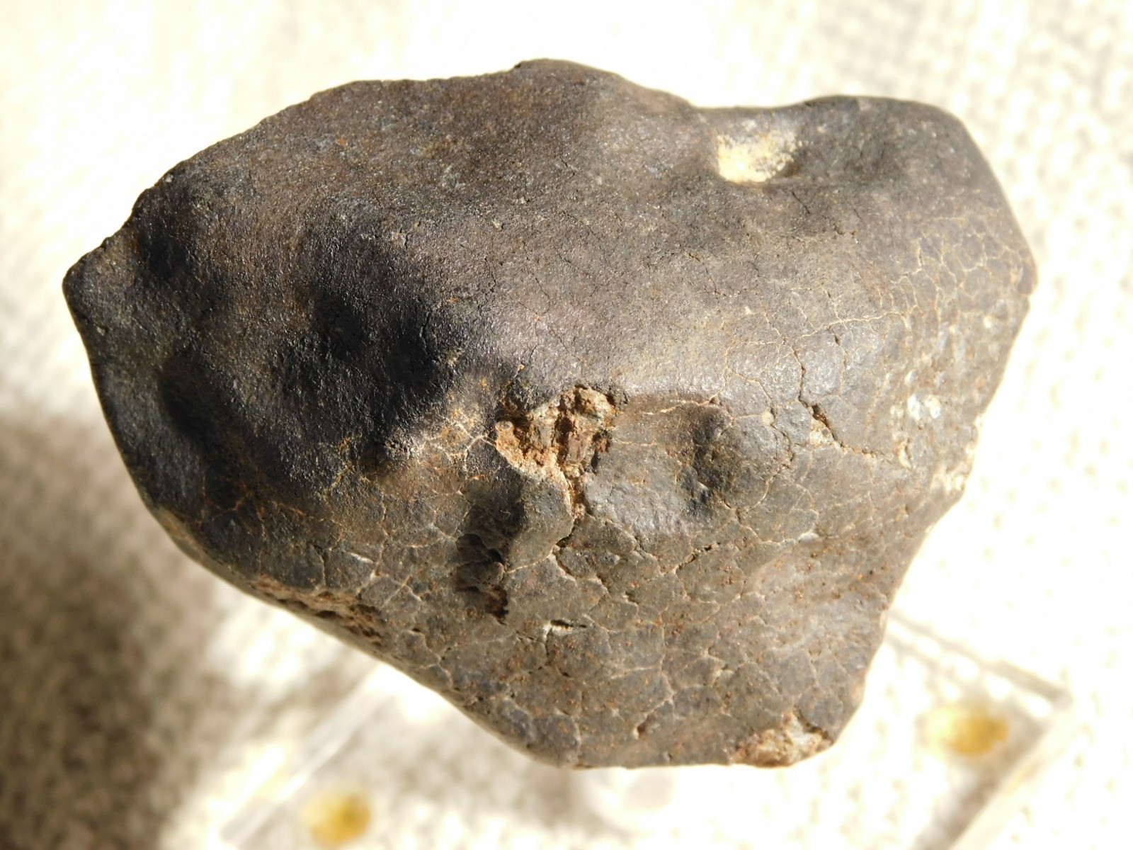 H6 Stony METEORITE Regmaglypts DARK Fusion Crust and Contraction CRACKS! 178gr