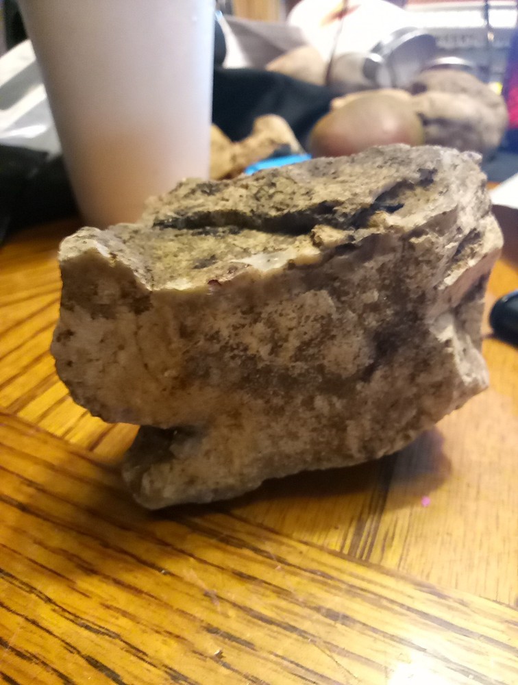 Fossils