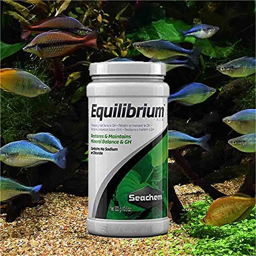 Equilibrium 600gram