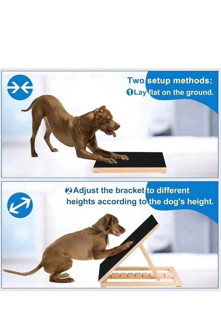 Dog Nail Scratch Board-Scratch Pad w/ Treat Box-Nail File New