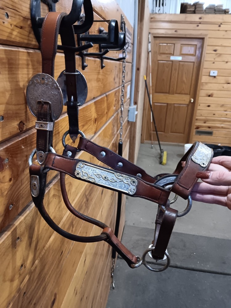Silver Show halter