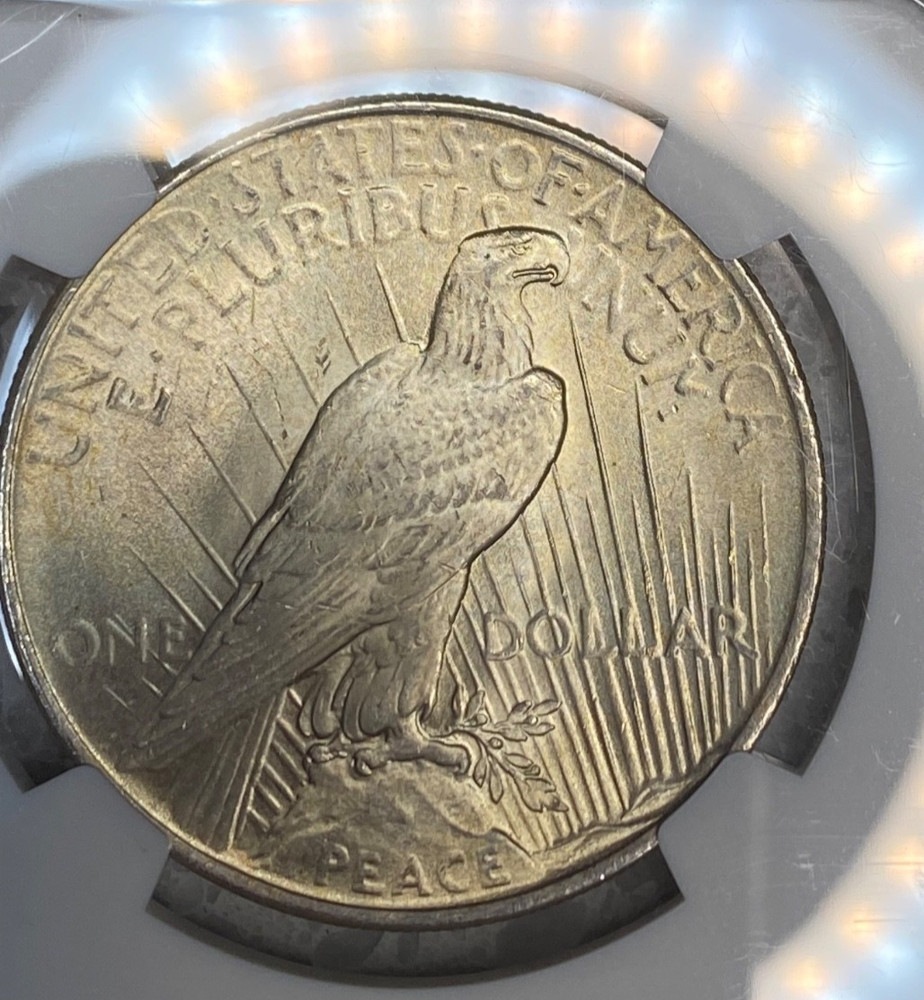1922 Peace Silver Dollar MS64 NGC