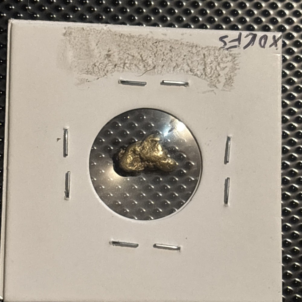 Gold Nugget 1.48 grams
