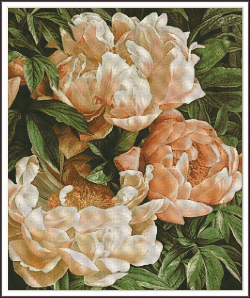 Coral Peony 1381 Chart Counted Cross Stitch Pattern