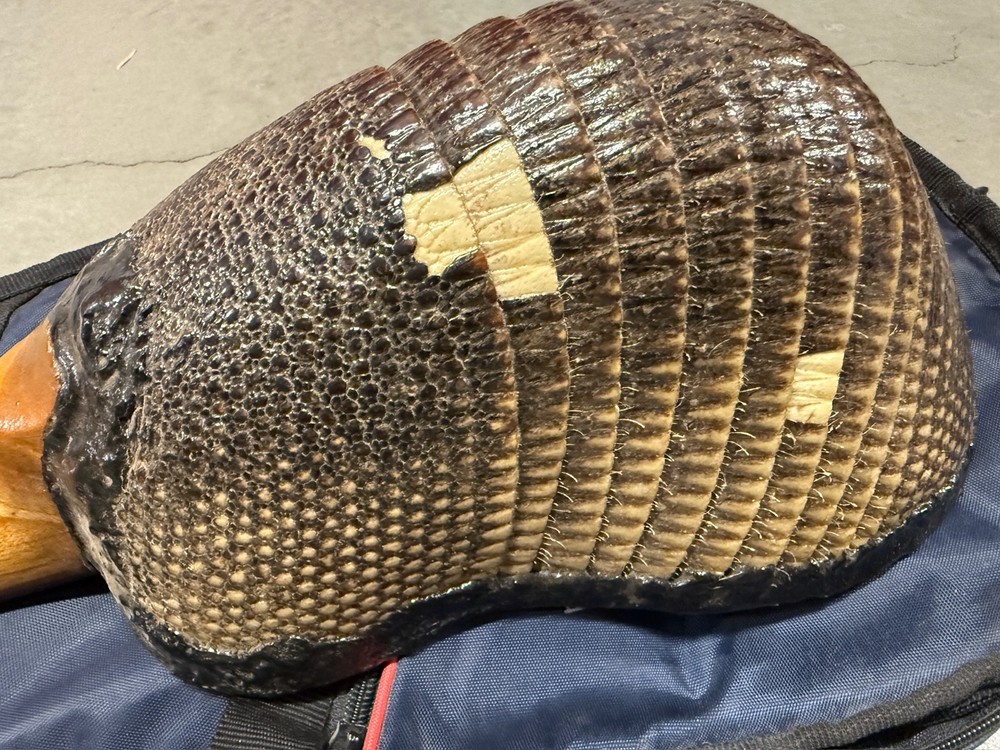 Charango Genuine Armadillo Armour Traditional Peruvian String Instrument