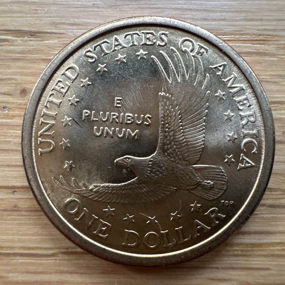 Sacagawea Dollar 2000 p