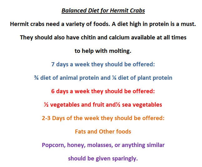 Duck Heart - Hermit Crab Food