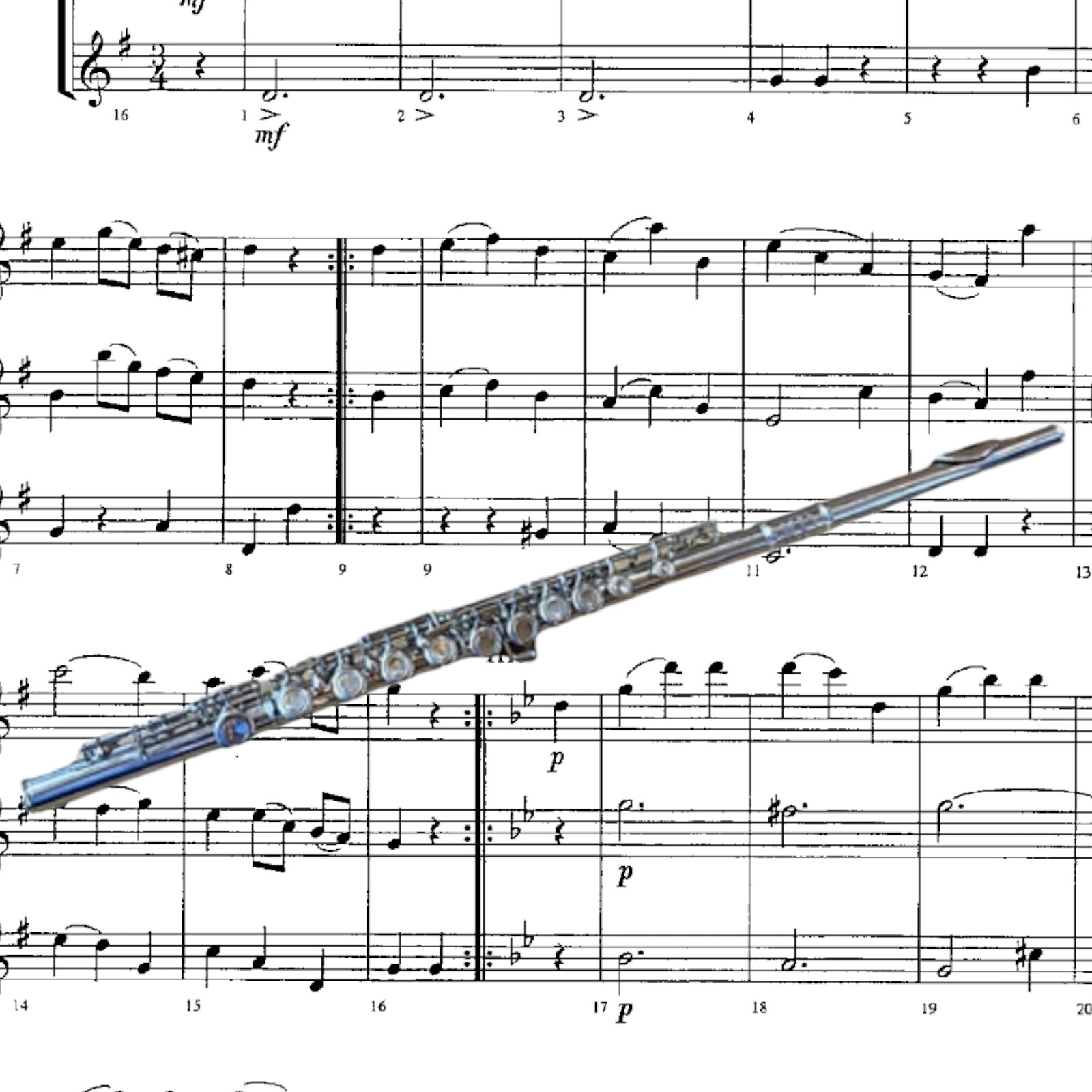 BRAND NEW PRO MARCHING BAND STUDENT/INTERMEDIATE SILVER CONCERT FLUTE-KEY OF C