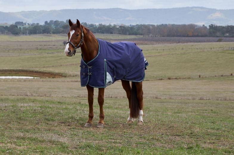 WeatherBeeta ComFiTec Plus Dynamic Turnout Standard Neck 100G