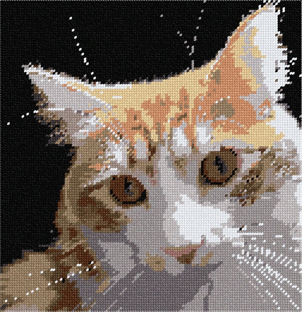 Curious Cat Needlepoint Kit or Canvas
